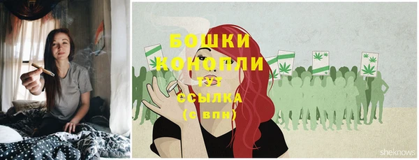 гидропоника Кукмор