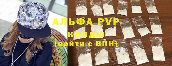 ПСИЛОЦИБИНОВЫЕ ГРИБЫ Щигры