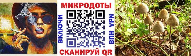 Купить Мелеуз Псилоцибиновые грибы Magic Shrooms